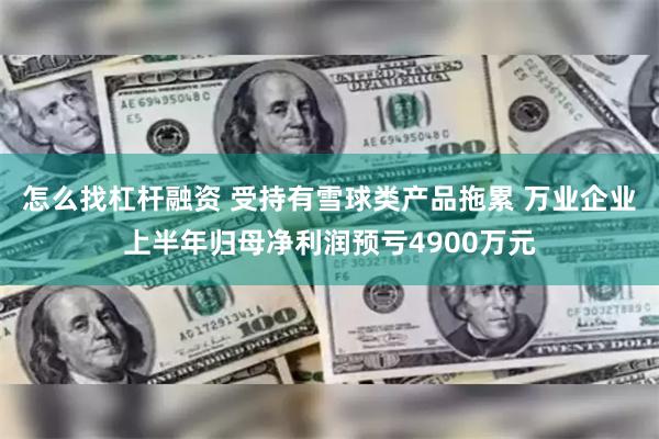 怎么找杠杆融资 受持有雪球类产品拖累 万业企业上半年归母净利润预亏4900万元