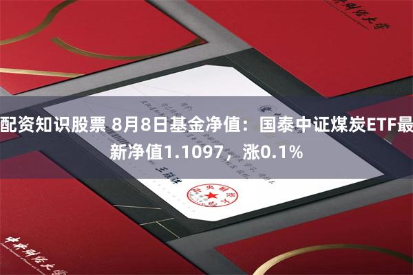 配资知识股票 8月8日基金净值：国泰中证煤炭ETF最新净值1.1097，涨0.1%