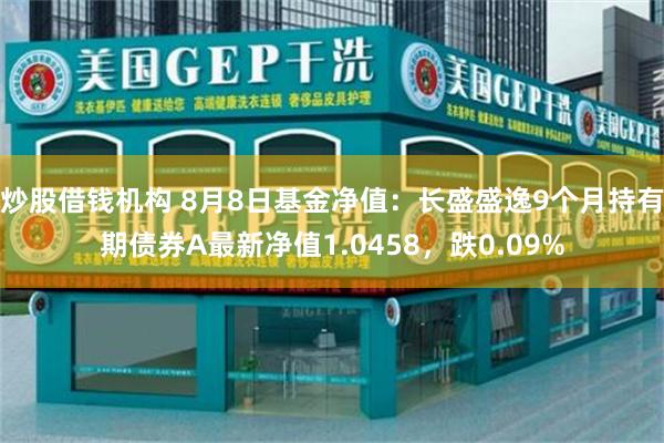 炒股借钱机构 8月8日基金净值：长盛盛逸9个月持有期债券A最新净值1.0458，跌0.09%