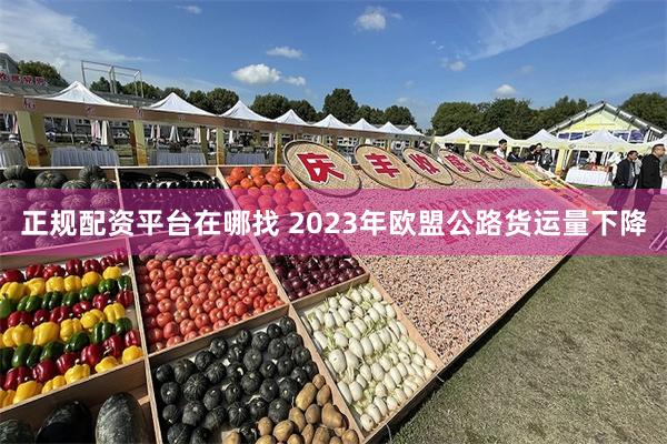 正规配资平台在哪找 2023年欧盟公路货运量下降