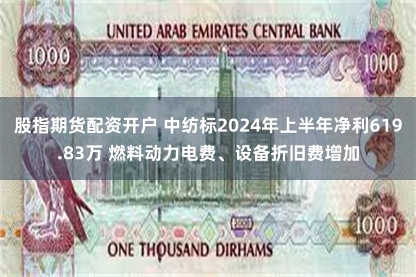 股指期货配资开户 中纺标2024年上半年净利619.83万 燃料动力电费、设备折旧费增加