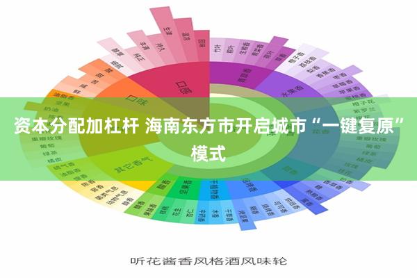 资本分配加杠杆 海南东方市开启城市“一键复原”模式