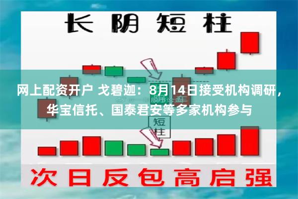 网上配资开户 戈碧迦：8月14日接受机构调研，华宝信托、国泰君安等多家机构参与