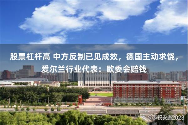 股票杠杆高 中方反制已见成效，德国主动求饶，爱尔兰行业代表：欧委会赔钱