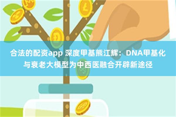 合法的配资app 深度甲基熊江辉：DNA甲基化与衰老大模型为中西医融合开辟新途径