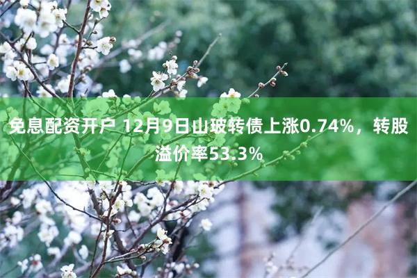 免息配资开户 12月9日山玻转债上涨0.74%，转股溢价率53.3%