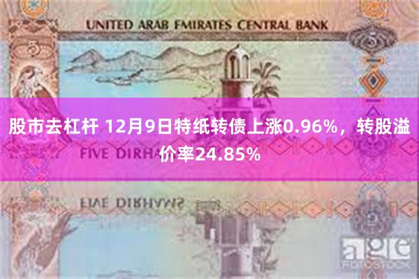 股市去杠杆 12月9日特纸转债上涨0.96%，转股溢价率24.85%