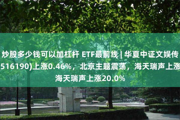 炒股多少钱可以加杠杆 ETF最前线 | 华夏中证文娱传媒ETF(516190)上涨0.46%，北京主题震荡，海天瑞声上涨20.0%