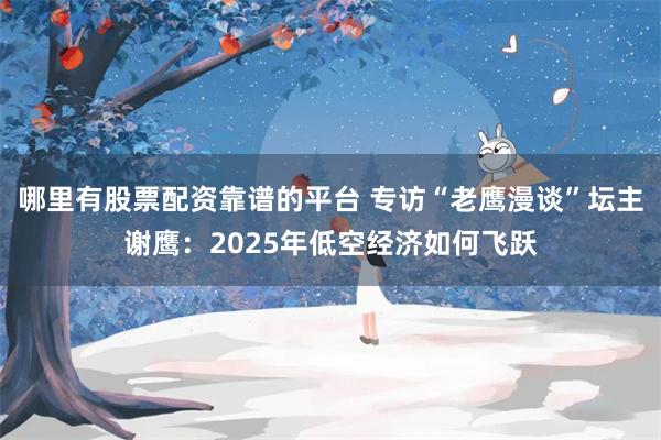 哪里有股票配资靠谱的平台 专访“老鹰漫谈”坛主谢鹰：2025年低空经济如何飞跃