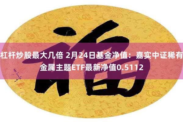 杠杆炒股最大几倍 2月24日基金净值：嘉实中证稀有金属主题ETF最新净值0.5112